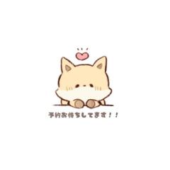  こはる☆完全業界未経験☆
