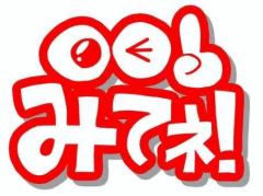 JaPON