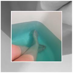 いちごみるく　☆るる☆