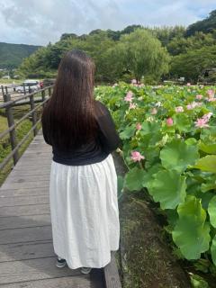 JaPON
