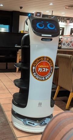 鹿児島ちゃんこ薩摩川内店(薩摩川内市) こむぎ
