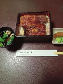 JaPON