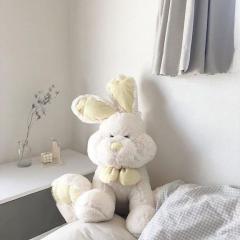 キャンディ　ロミヒ