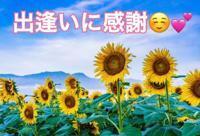待ちナビ(福岡市) りょう