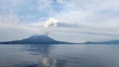 人妻ステーションポータブル鹿児島(鹿児島市) つぼみ