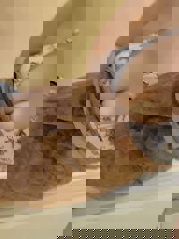 ランキング入賞の女の子