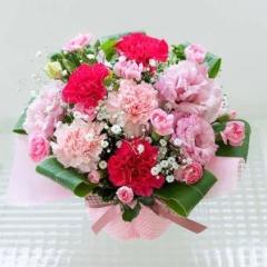 こすらぶ霧島店　ルナ