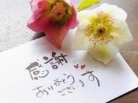 待ちナビ 福岡市デリヘル のりこ 写メ日記「8月1日お礼」