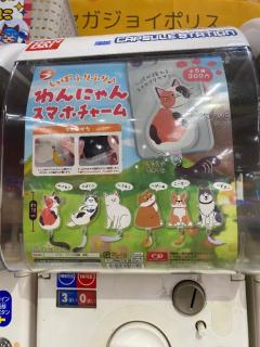  カオル