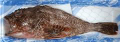 焼いていきます?