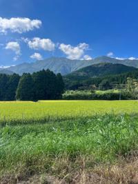 待ちナビ 福岡市デリヘル まな 写メ日記「出勤しました！！」