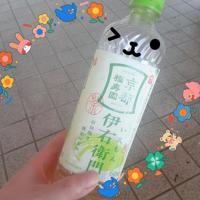 待ちナビ 福岡市デリヘル にこ 写メ日記「19日のお礼です」