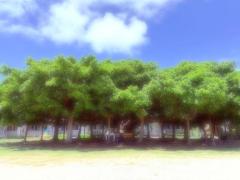 INFINITY沖縄(那覇市) のぞみ