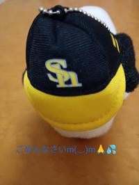 待ちナビ 福岡市デリヘル あゆみ 写メ日記「おはようございます(*^^*)」