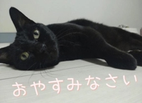 待ちナビ 福岡市デリヘル あずみ 写メ日記「おやすみ前の格闘」