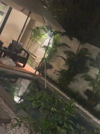 待ちナビ 福岡市デリヘル しょう 写メ日記「8/19、夜お会いしたお客様へ」