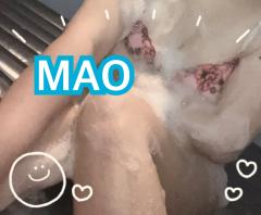  まお(Mao)