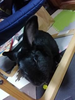  にいな (Nīna)