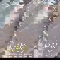  しおり