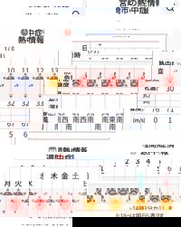 宮崎ちゃんこ中央通店