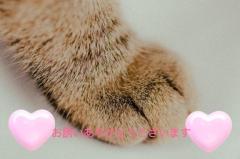 鹿児島天文館デリヘルLOVEVE～ラヴィーヴ～(鹿児島市) まい☆激かわ価格破壊の向こう側☆