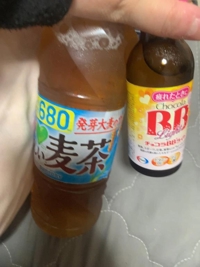 サンタのお家お兄様お礼