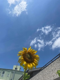 お礼日記