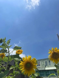 受付終了♂