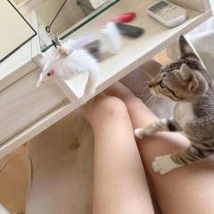 今日はね?