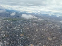 おはよー