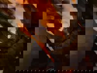 ランキング入賞の女の子