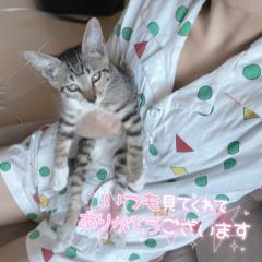 退勤しました?
