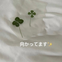 フェアリー【鹿児島店】(鹿児島市) かれん【とろける濃厚Dキス娘】