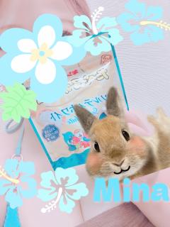 MICHELIN ミシュラン(沖縄市) ミナ(MINA)