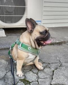 おかあさんといっしょ都城店　るみこ★最高エロリスト