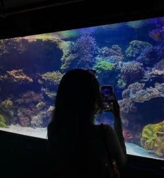 SUZUME 熊本市ソープ みやび 写メ日記「出勤??」