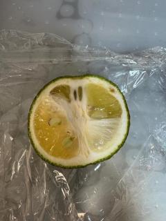  ゆえ
