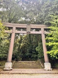  さよ