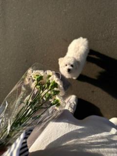 SUZUME(ソープ) みやび