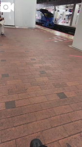 待ちナビ(福岡市) さくらこ