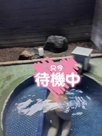 らん | 待ちナビ 