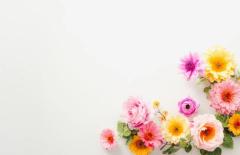 鹿児島天文館デリヘルLOVEVE～ラヴィーヴ～(鹿児島市) まい☆激かわ価格破壊の向こう側☆