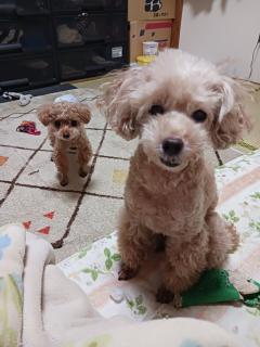 さくら(大分市) すず(前立腺ﾏｽﾀｰ)