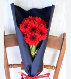 キャンディ(鹿児島市) ヒメ