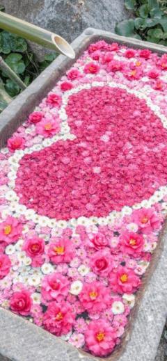 人妻ステーションポータブル鹿児島(鹿児島市) なつこ