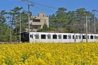 てるみ | 待ちナビ