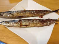 Fresh　ゆめか(AF無料)