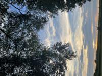 今週の出勤予定♪