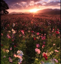 フェアリー【鹿児島店】(鹿児島市) りりこ【綺麗すぎる未経験美女】