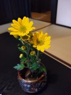 見たよ?ありがとう?